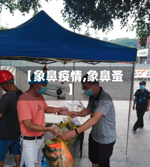 【象鼻疫情,象鼻蚤】