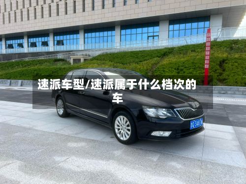 速派车型/速派属于什么档次的车-第3张图片