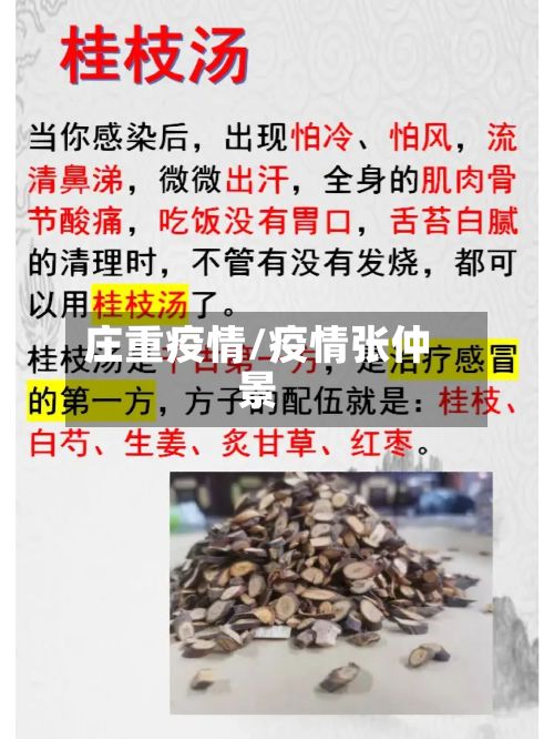 庄重疫情/疫情张仲景