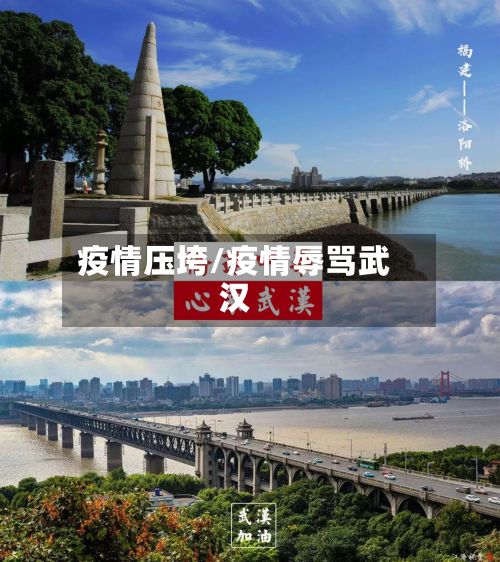 疫情压垮/疫情辱骂武汉-第2张图片