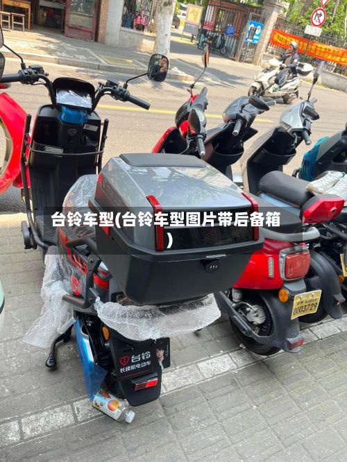 台铃车型(台铃车型图片带后备箱)