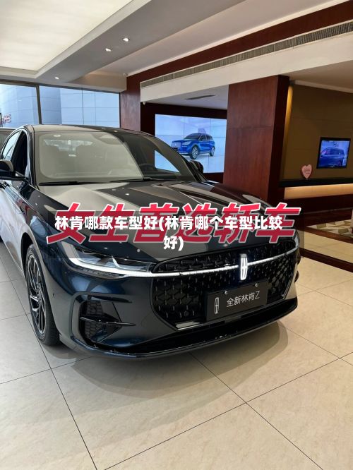 林肯哪款车型好(林肯哪个车型比较好)-第3张图片