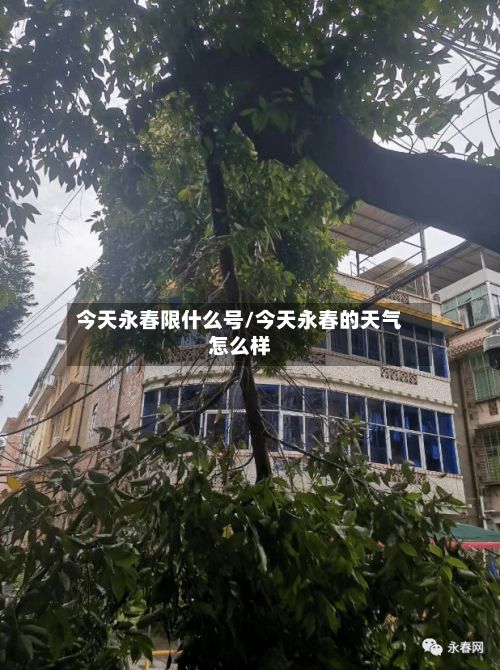 今天永春限什么号/今天永春的天气怎么样-第3张图片