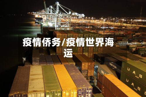 疫情侨务/疫情世界海运-第2张图片