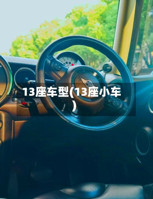 13座车型(13座小车)-第3张图片