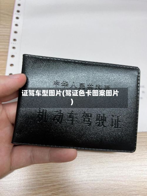 证驾车型图片(驾证色卡图案图片)