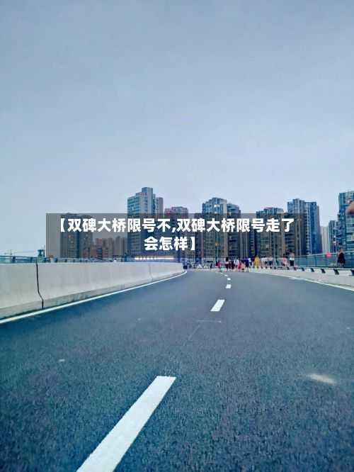 【双碑大桥限号不,双碑大桥限号走了会怎样】-第2张图片