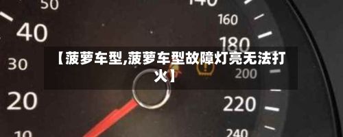 【菠萝车型,菠萝车型故障灯亮无法打火】-第2张图片