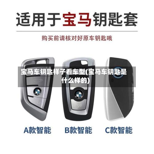 宝马车钥匙样子看车型(宝马车钥匙是什么样的)-第2张图片