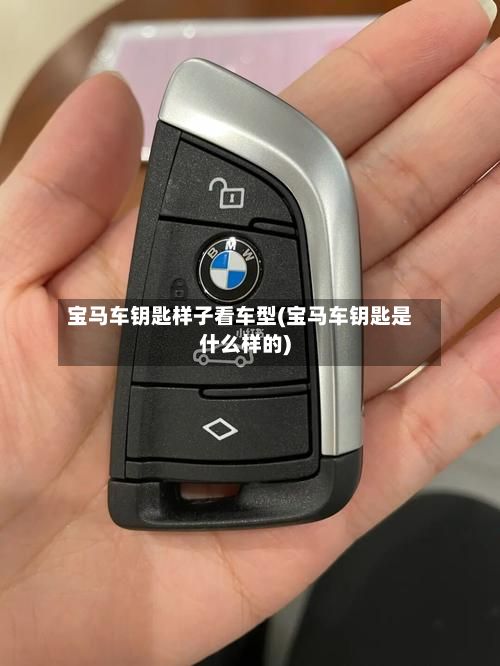 宝马车钥匙样子看车型(宝马车钥匙是什么样的)
