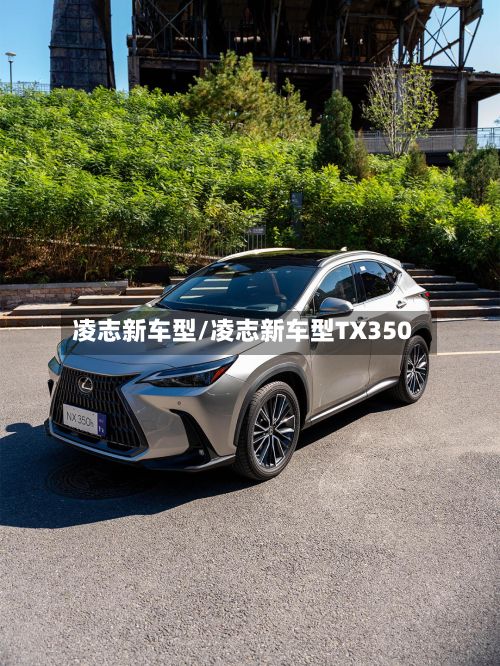 凌志新车型/凌志新车型TX350
