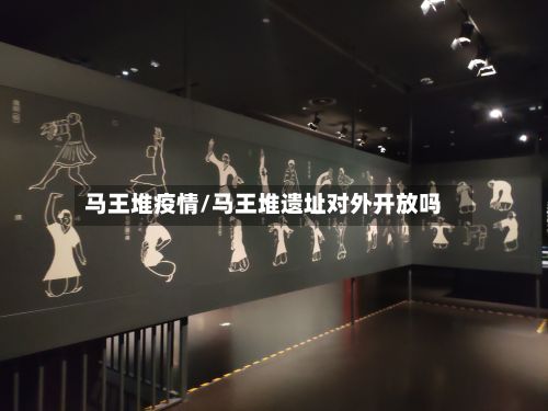 马王堆疫情/马王堆遗址对外开放吗