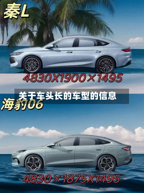 关于车头长的车型的信息-第3张图片