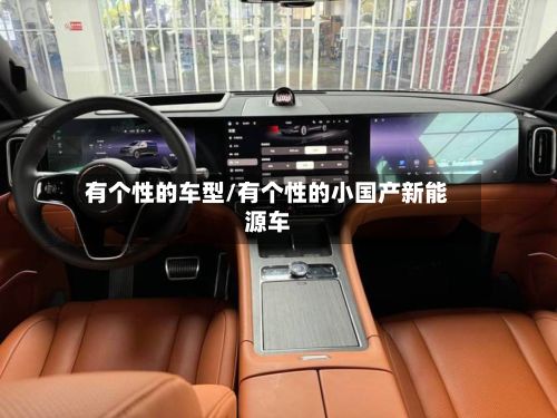 有个性的车型/有个性的小国产新能源车-第2张图片