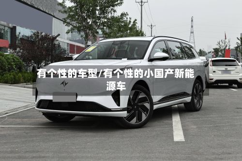 有个性的车型/有个性的小国产新能源车-第3张图片
