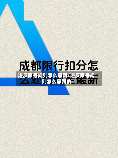 违反限号规则怎么惩罚/违反限号规则怎么惩罚的-第2张图片