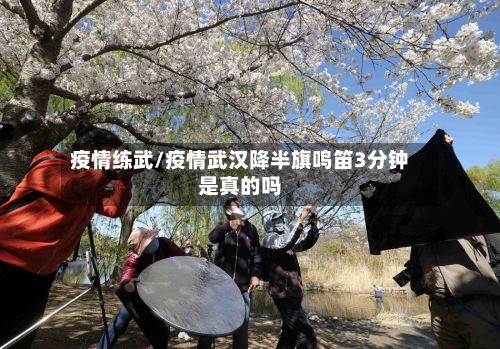 疫情练武/疫情武汉降半旗鸣笛3分钟是真的吗