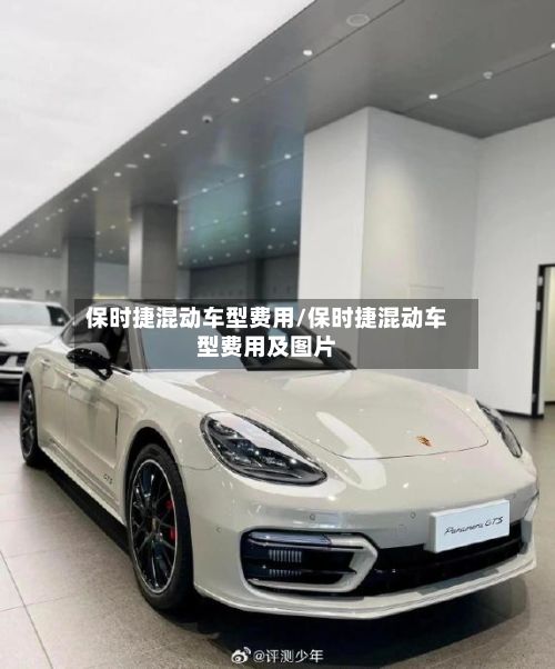 保时捷混动车型费用/保时捷混动车型费用及图片-第2张图片