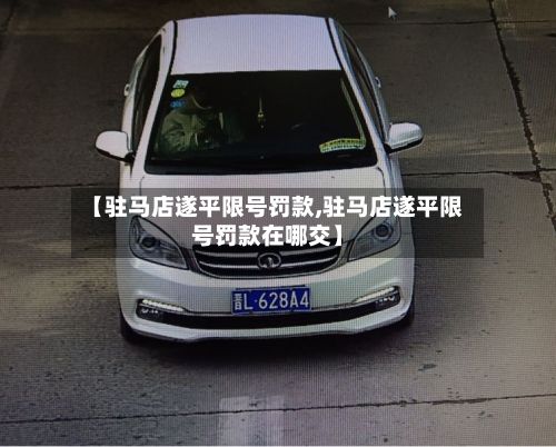 【驻马店遂平限号罚款,驻马店遂平限号罚款在哪交】-第2张图片