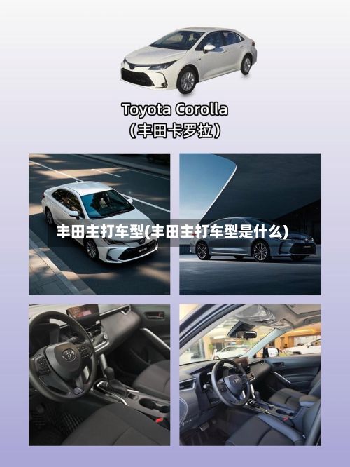 丰田主打车型(丰田主打车型是什么)