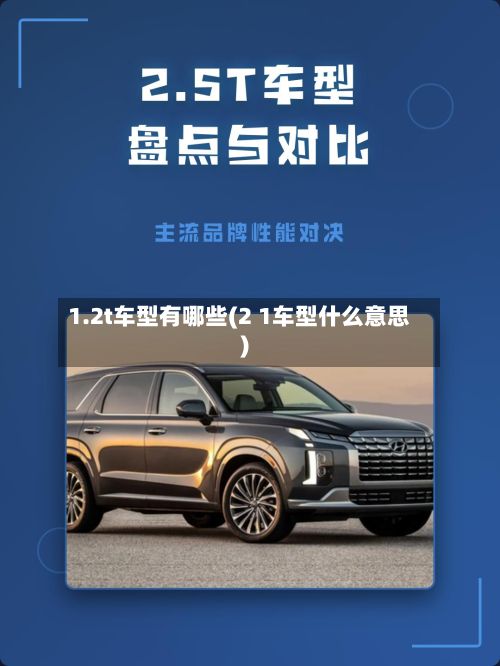 1.2t车型有哪些(2 1车型什么意思)
