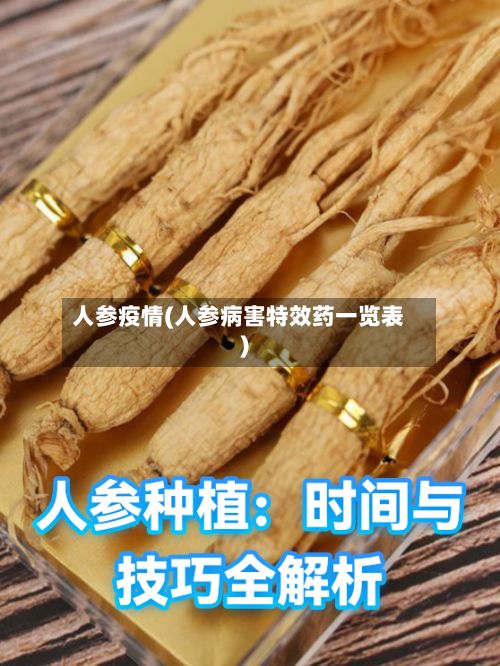 人参疫情(人参病害特效药一览表)-第3张图片