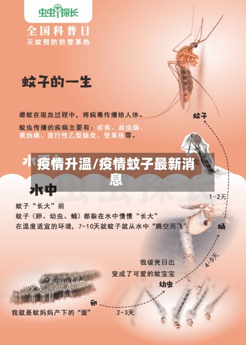 疫情升温/疫情蚊子最新消息