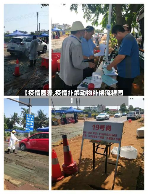 【疫情圈养,疫情扑杀动物补偿流程图】