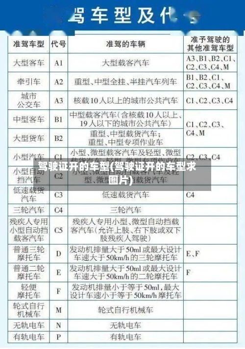 驾驶证开的车型(驾驶证开的车型求图片)-第3张图片