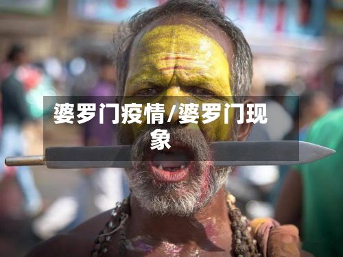 婆罗门疫情/婆罗门现象