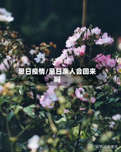 忌日疫情/忌日亲人会回来吗