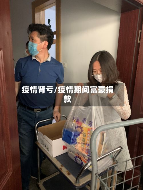 疫情肾亏/疫情期间富豪捐款-第3张图片