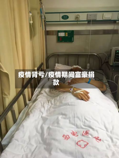 疫情肾亏/疫情期间富豪捐款-第2张图片