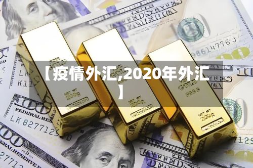 【疫情外汇,2020年外汇】