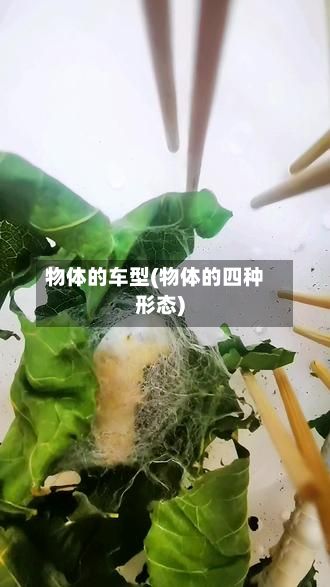 物体的车型(物体的四种形态)-第2张图片