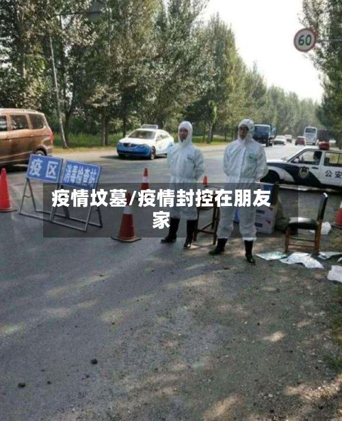 疫情坟墓/疫情封控在朋友家-第2张图片