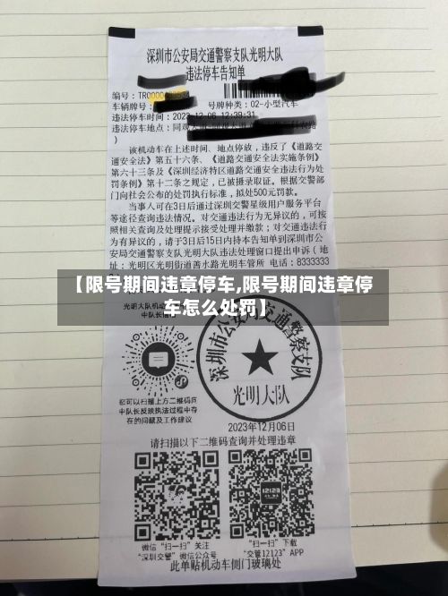 【限号期间违章停车,限号期间违章停车怎么处罚】-第2张图片