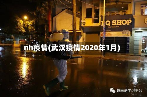 nh疫情(武汉疫情2020年1月)