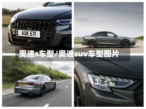 奥迪s车型/奥迪suv车型图片-第3张图片