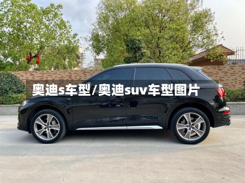 奥迪s车型/奥迪suv车型图片