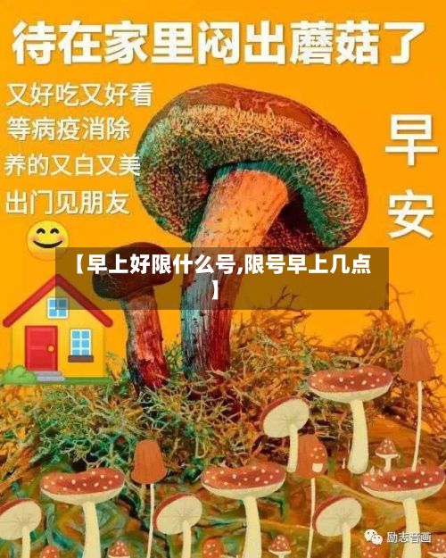【早上好限什么号,限号早上几点】
