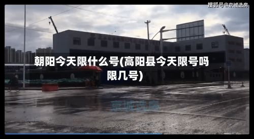 朝阳今天限什么号(高阳县今天限号吗限几号)