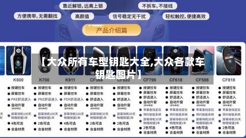 【大众所有车型钥匙大全,大众各款车钥匙图片】