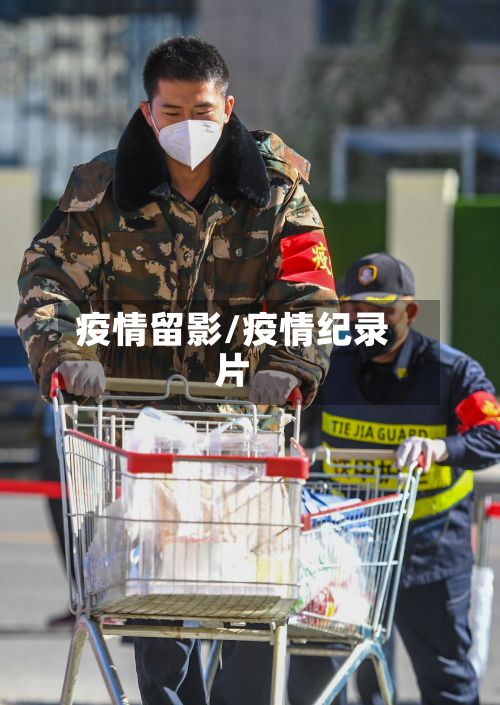疫情留影/疫情纪录片-第2张图片