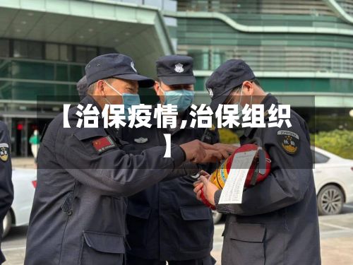 【治保疫情,治保组织】-第3张图片