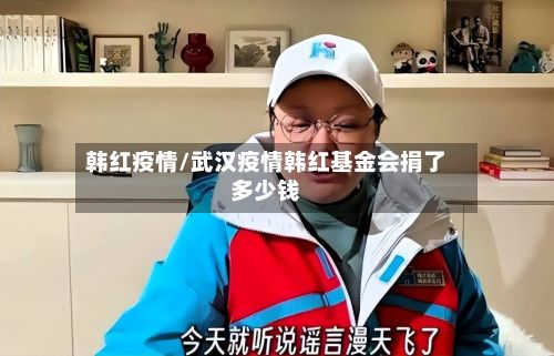 韩红疫情/武汉疫情韩红基金会捐了多少钱