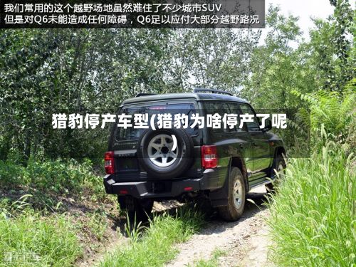 猎豹停产车型(猎豹为啥停产了呢)