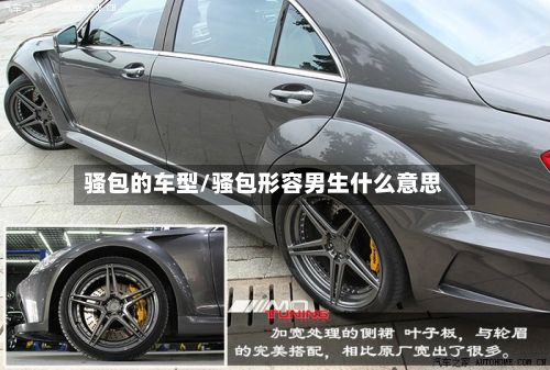 骚包的车型/骚包形容男生什么意思-第2张图片