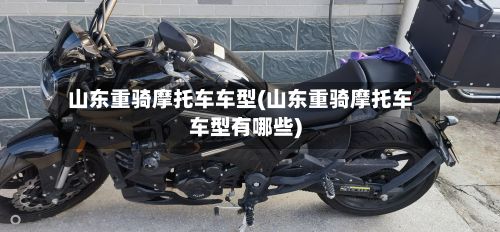 山东重骑摩托车车型(山东重骑摩托车车型有哪些)-第2张图片