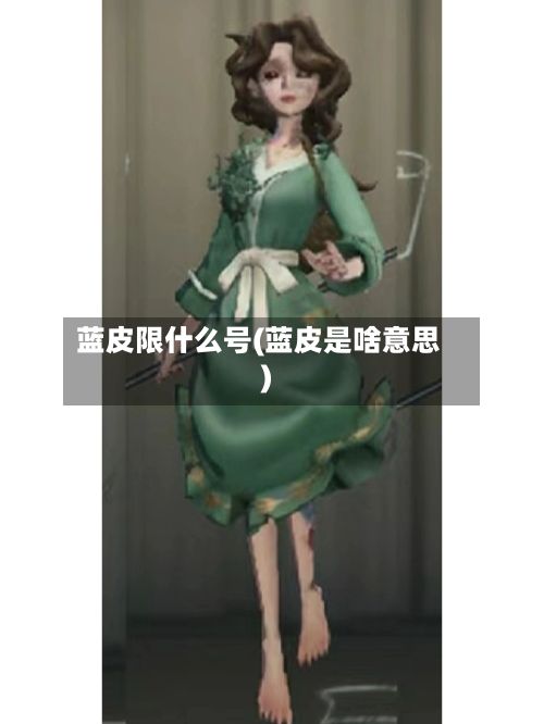 蓝皮限什么号(蓝皮是啥意思)-第2张图片